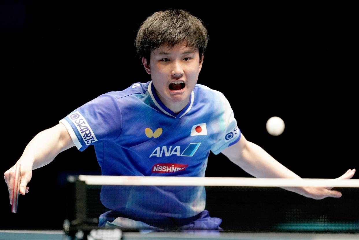 比利时乒乓球队横扫英国乒乓球队，张本智和惊艳世界