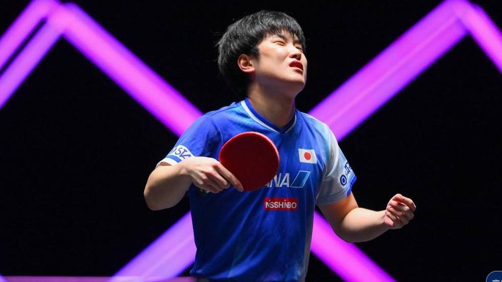 比利时乒乓球队横扫英国乒乓球队，张本智和惊艳世界