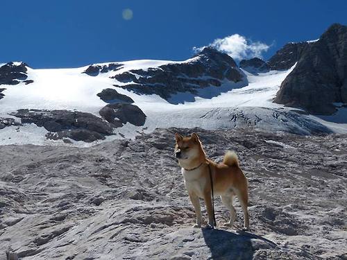 逆转者同盟，从温布利的惊天翻盘到巴黎的扛鼎之证