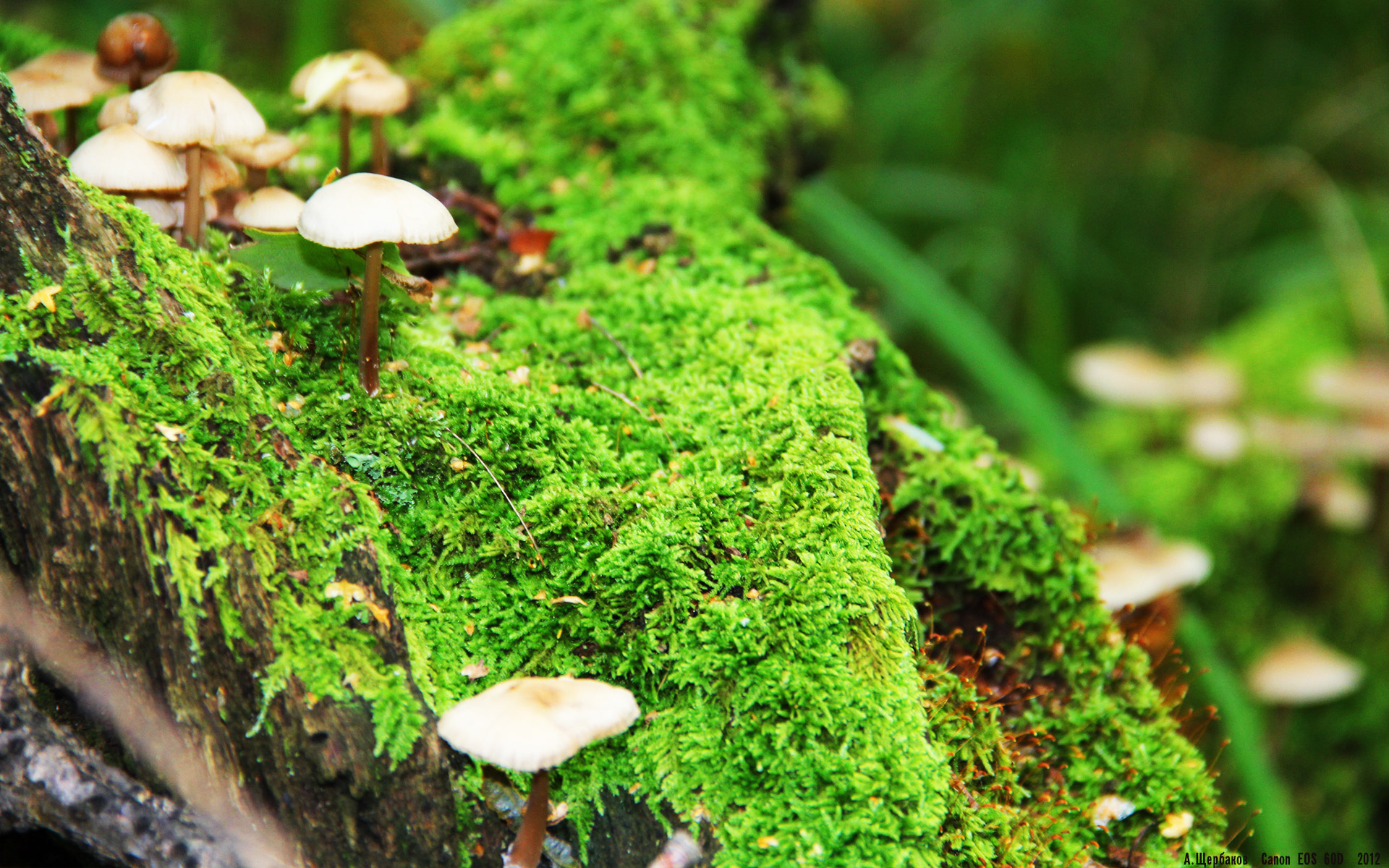 终结者霍勒迪,76人一波流掀翻爵士,定义东部新秩序