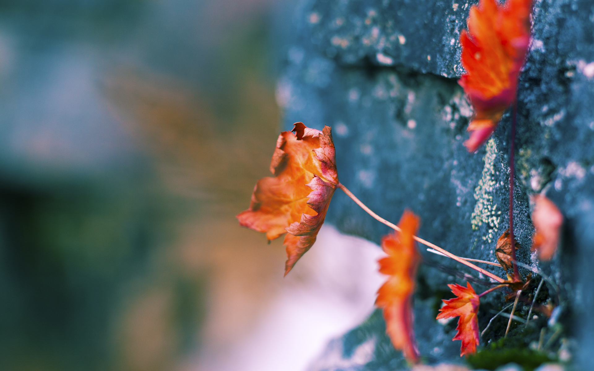 正名之战,杰伦·格林在步行者对阵灰熊的焦点战中证明自我