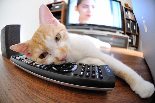 三分线外与绿茵场,竞技本质的唯一性解码