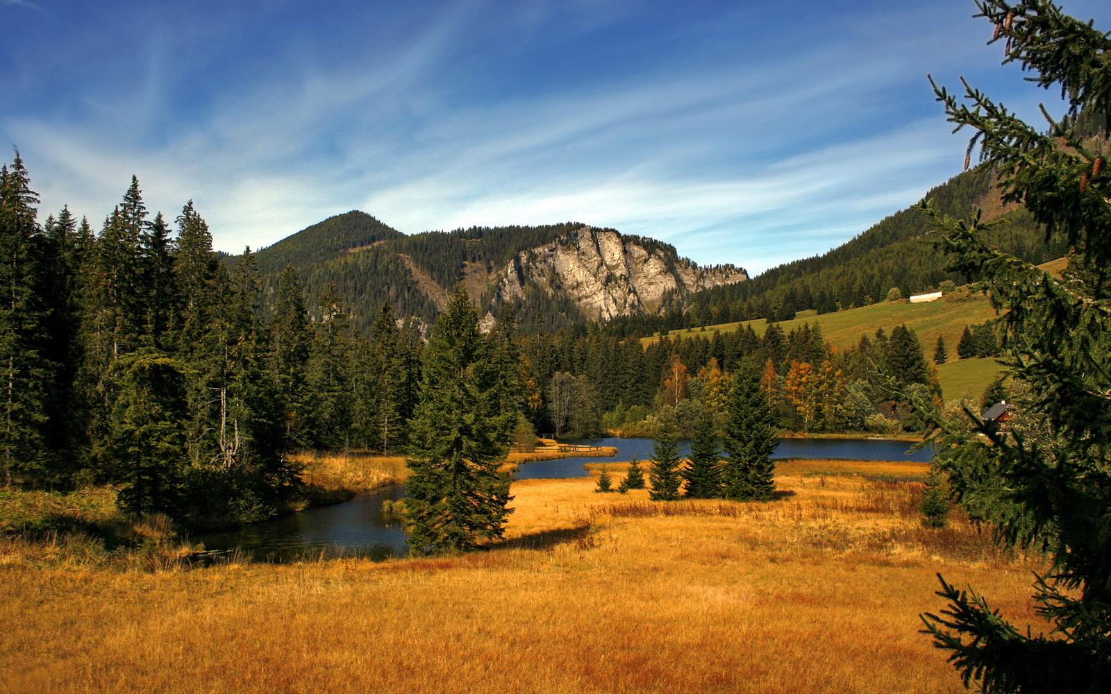 马丁内利独造三球闪耀全场，牙买加4-0完胜几内亚迎国际赛首胜