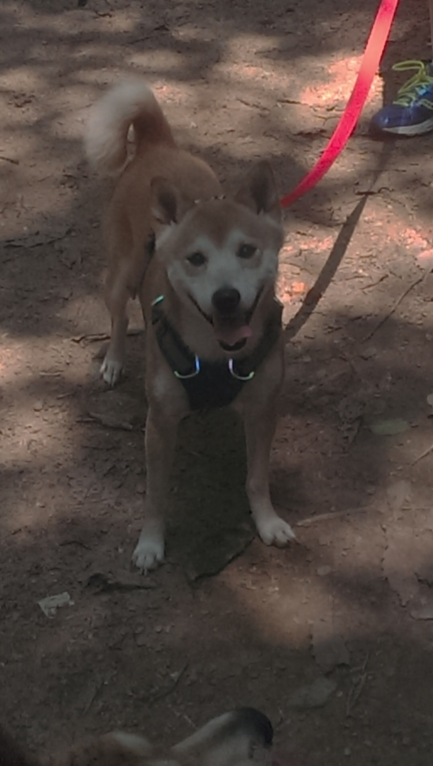 冰与火之歌,当关键乔治点燃寒地烽烟—记吉林队绝境雷霆一击