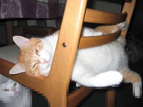 斗牛士与红墙,当阿圭罗的利刃刺向哥伦比亚最后的骄傲