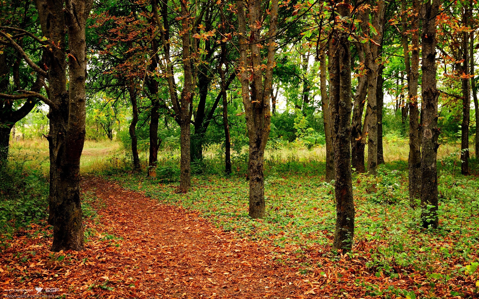 蔚蓝海岸的亚洲旋风,黄喜灿在摩纳哥的中立舞台征服澳大利亚