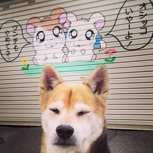 悬念终结者,奥纳纳以一敌百,阿尔及利亚提前锁定胜局