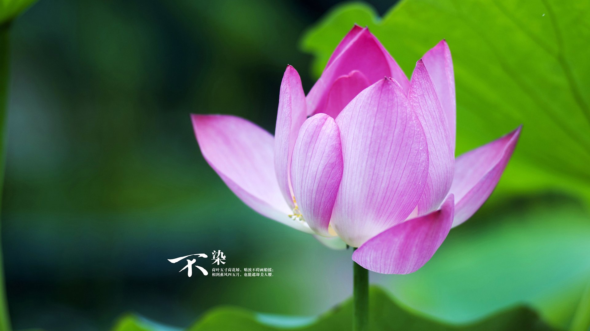 阿圭罗终场绝杀！委内瑞拉一波流冲垮南美拜仁