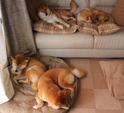 鏖战加时,北京队险胜太阳;君临天下,詹姆斯主宰攻防