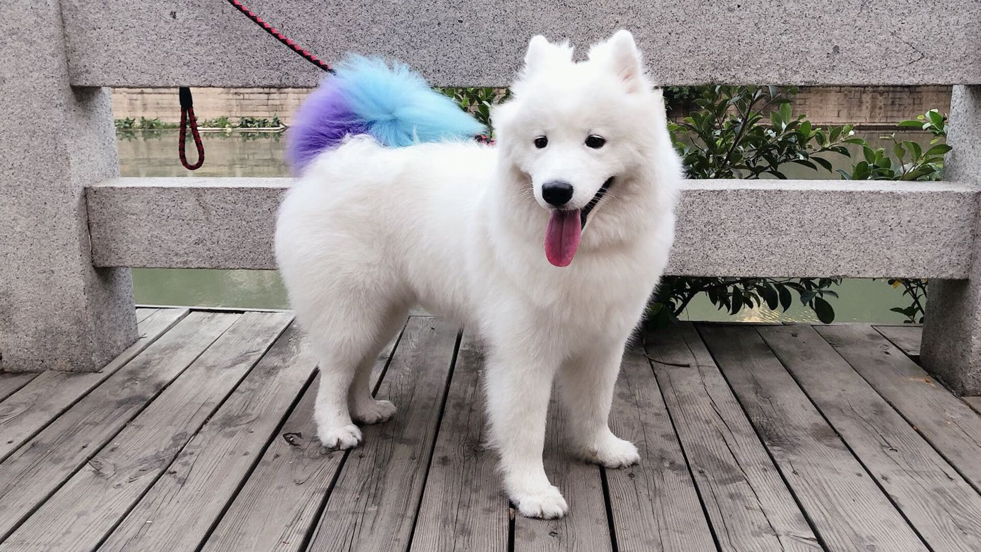 开云体育在线-当精密齿轮卡壳时，京多安以孤星之芒刺破战术铁幕