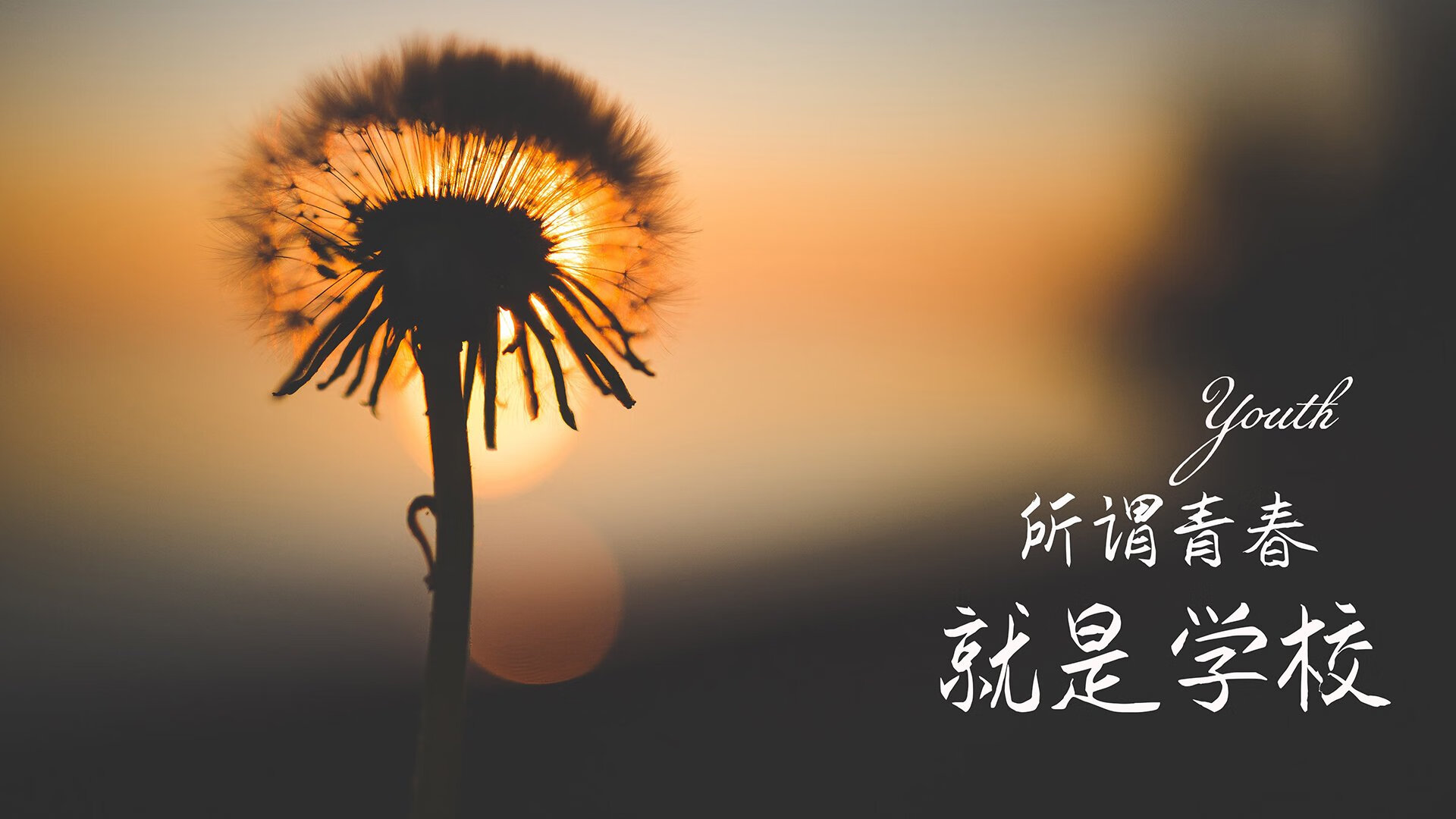 一剑封喉，福登致命一击书写2026世界杯E组史诗，葡萄牙力克波兰续写唯一传奇